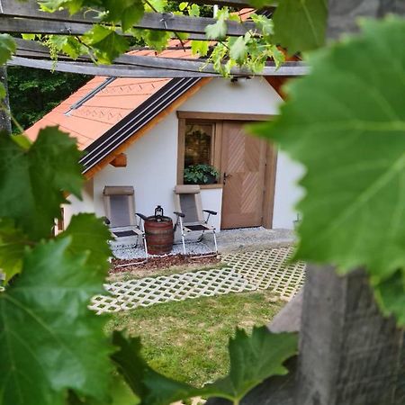 Zidanica Zagar Villa Dolenjske Toplice Exteriör bild