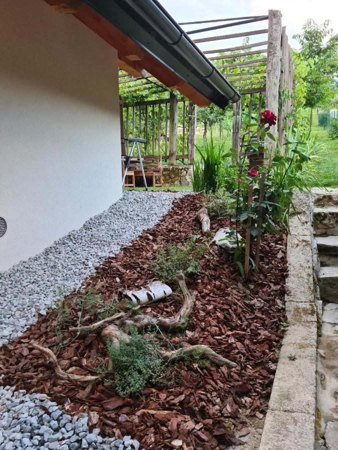 Zidanica Zagar Villa Dolenjske Toplice Exteriör bild