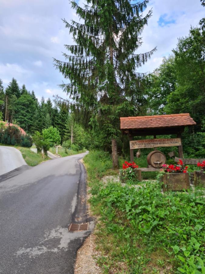 Zidanica Zagar Villa Dolenjske Toplice Exteriör bild
